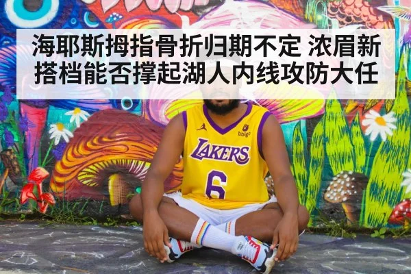 海耶斯拇指骨折归期不定 浓眉新搭档能否撑起湖人内线攻防大任